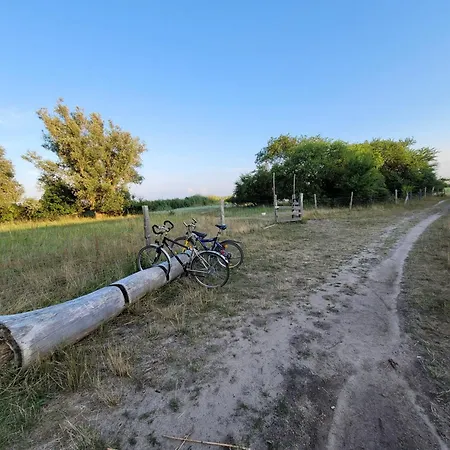 Ostsee Usedom Hundefreundlich Familie Stopp Haus 22